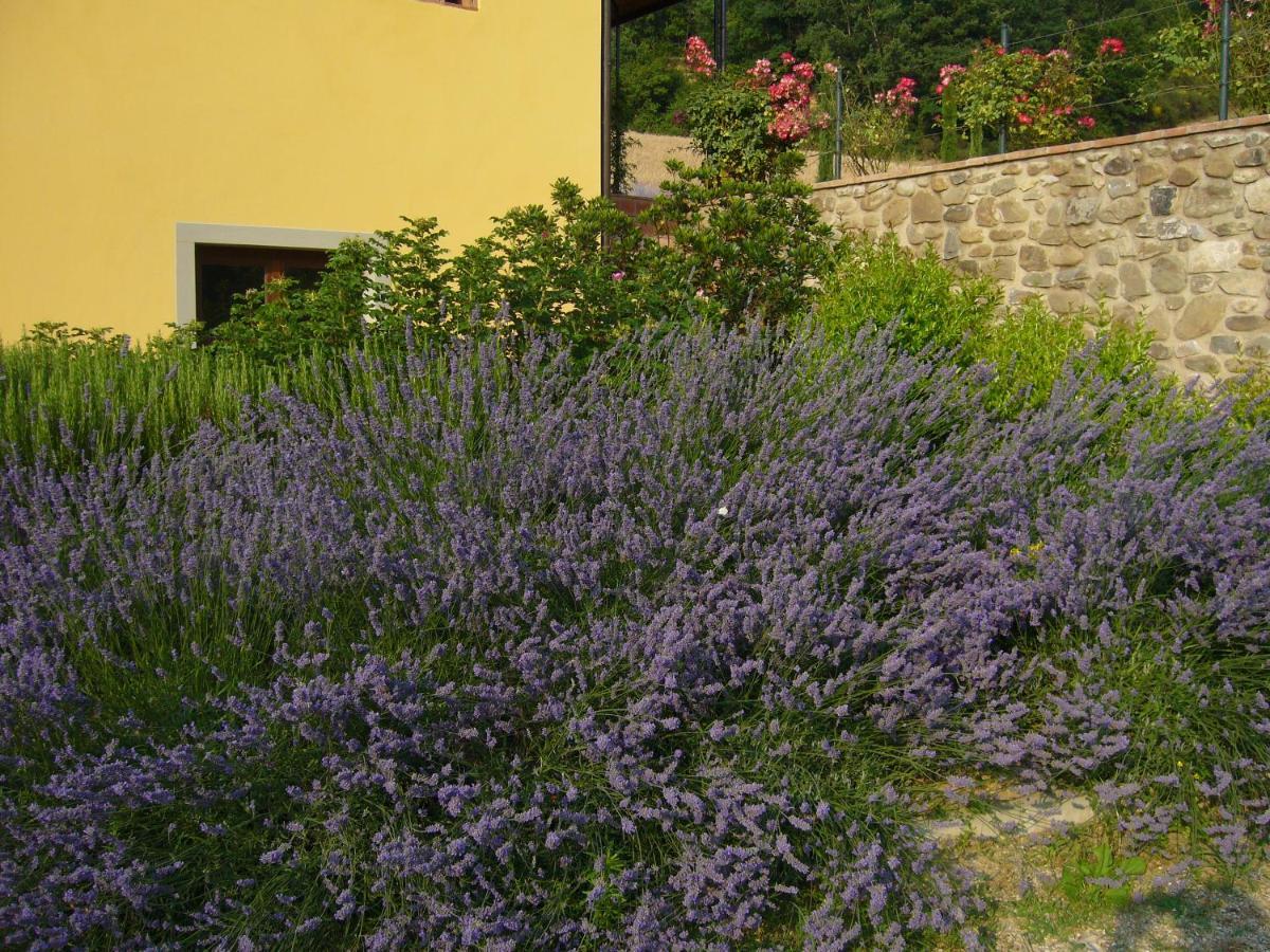 Agriturismo Podere Filicaia San Giovanni Valdarno Zewnętrze zdjęcie